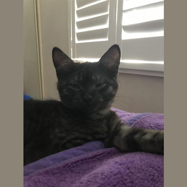 Photo of Jinx