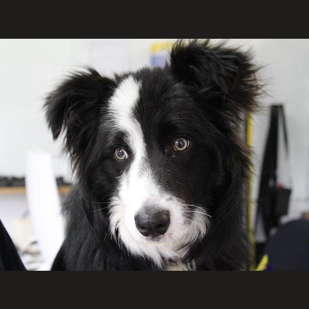 Photo of Kato