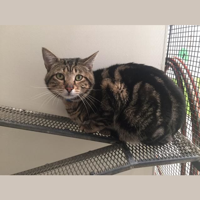 Photo of Trevor (3657)