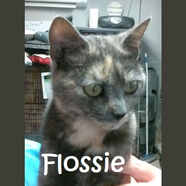 Photo of Flossie