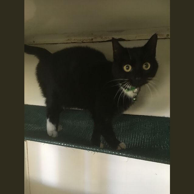 Photo of Teifa Maree