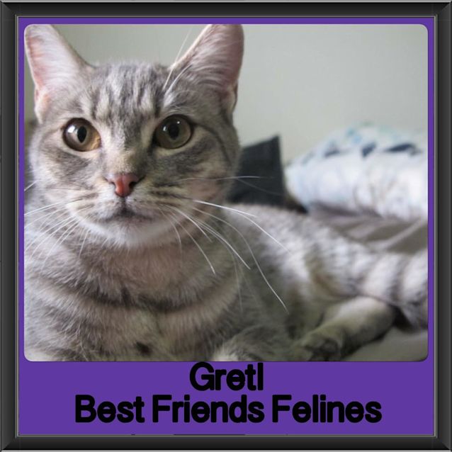 Photo of Gretl