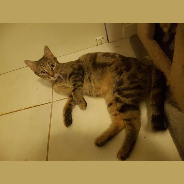 Photo of Iska