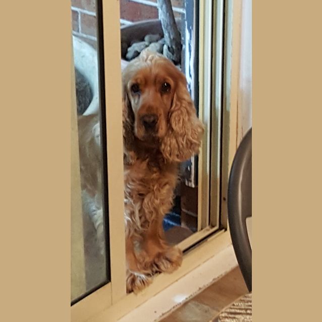 Photo of Diva