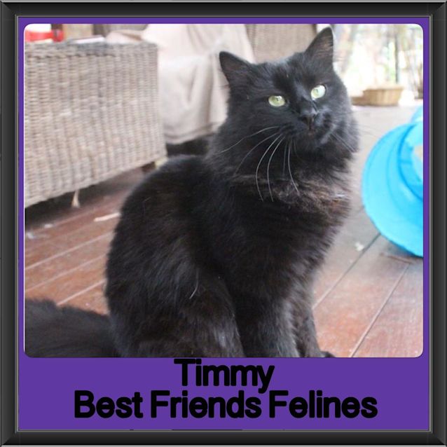 Photo of Timmy