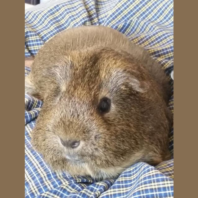 Photo of Tubby