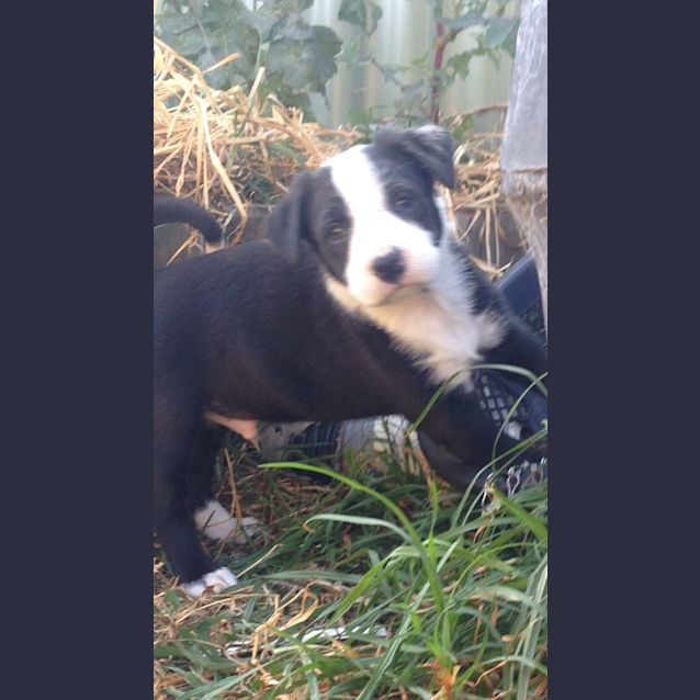 Photo of Xero