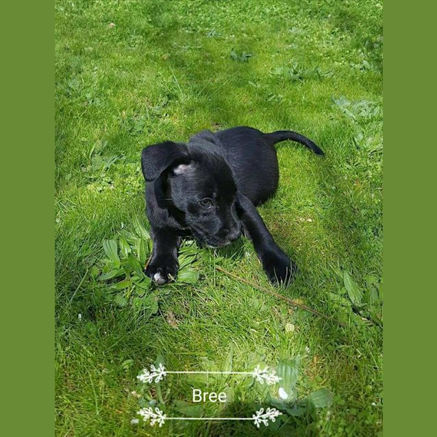 Photo of Bree
