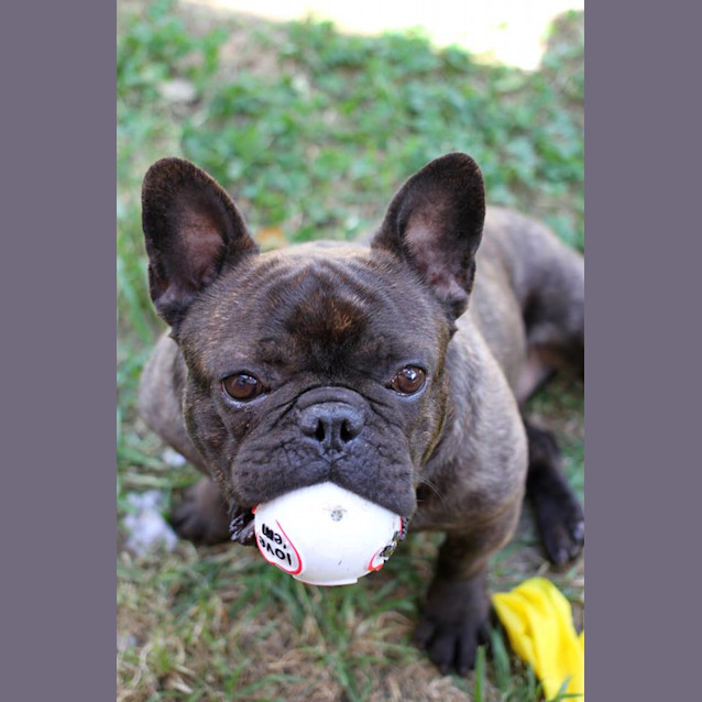 Photo of Max