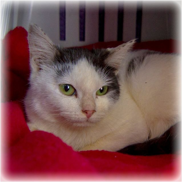 Photo of Chloe