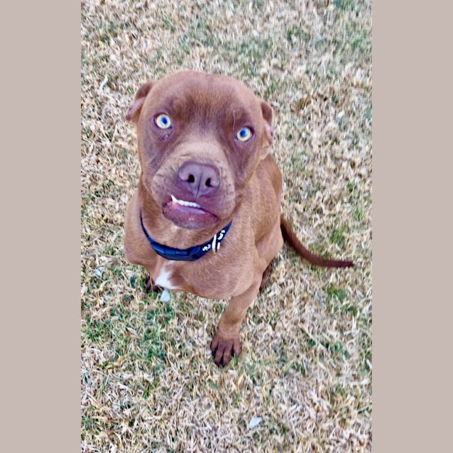 Photo of Winston 