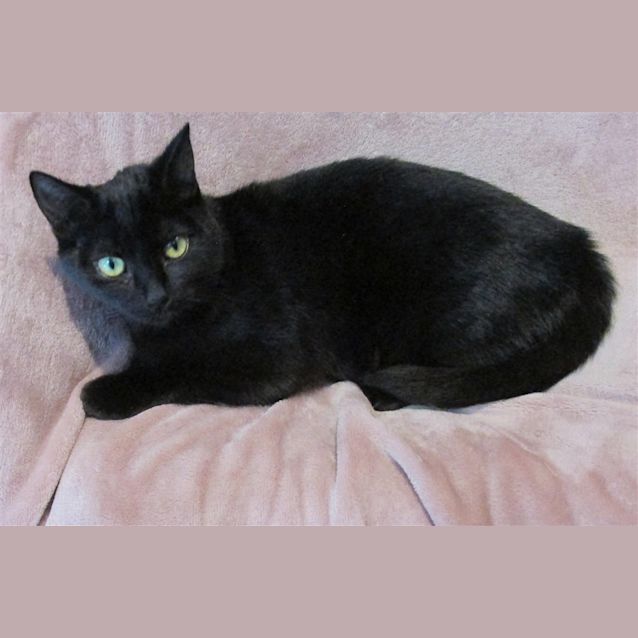 Photo of Frankie