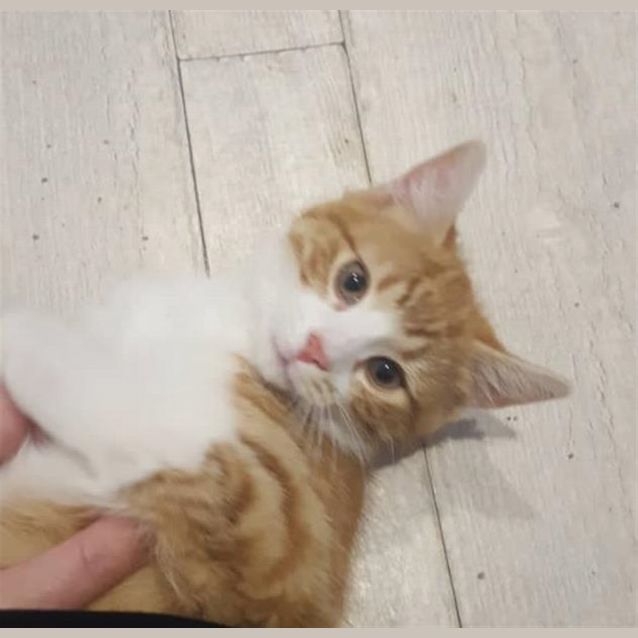 Photo of Paco