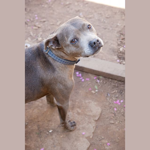 Photo of Stella Bella