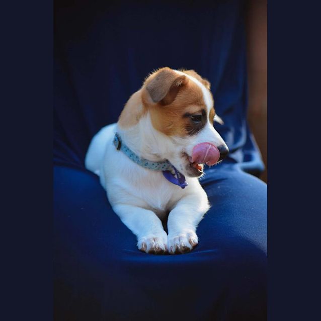 Photo of Tom **Applications Closed**