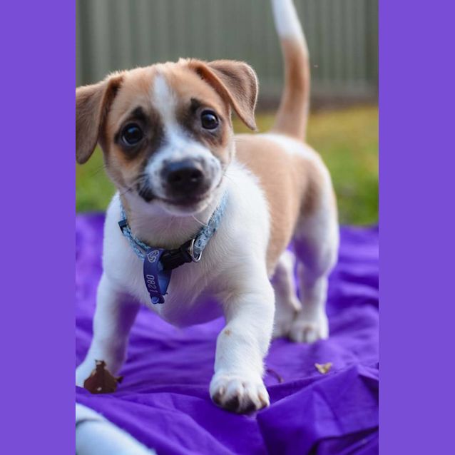 Photo of Kevin **Applications Closed**