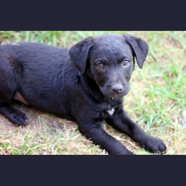Photo of Violet 