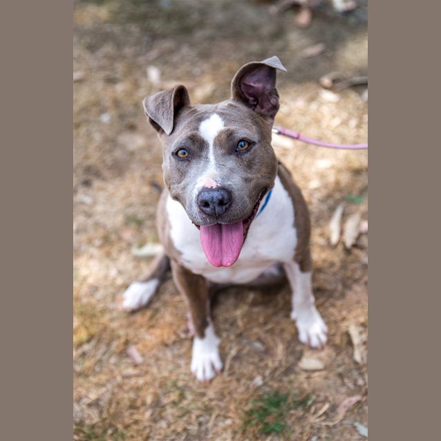 Photo of Delilah