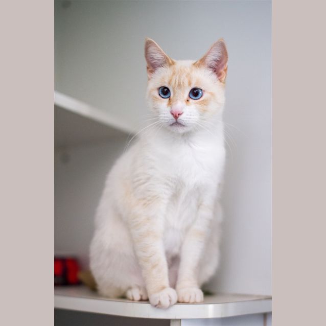 Photo of Snowy