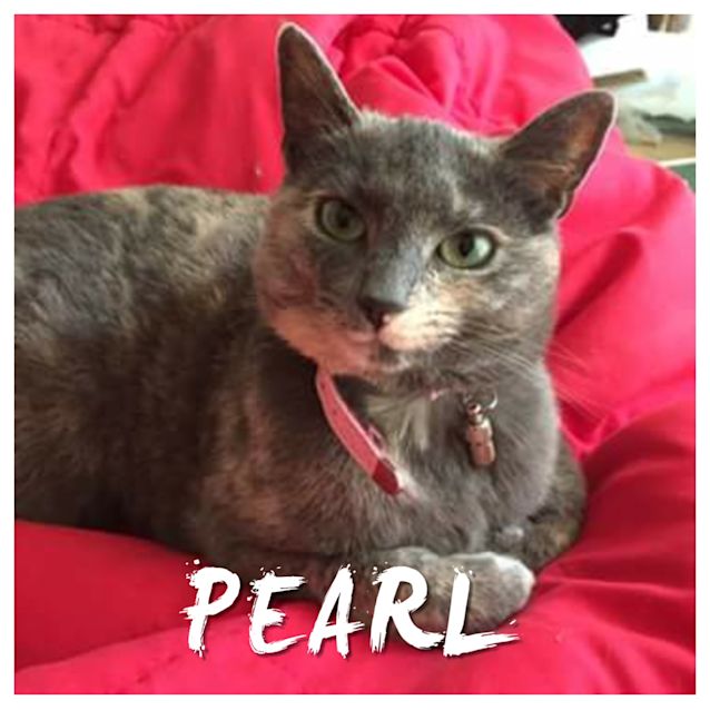 Photo of Pearl