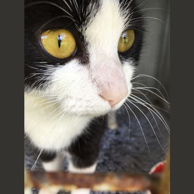 Photo of Ping
