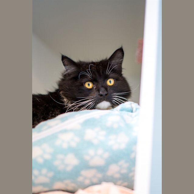 Photo of Benny