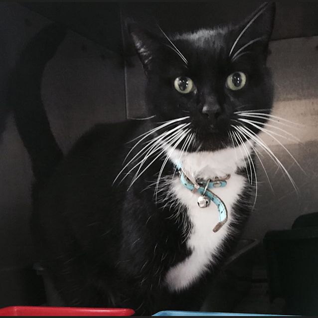 Photo of Princess Pizzy