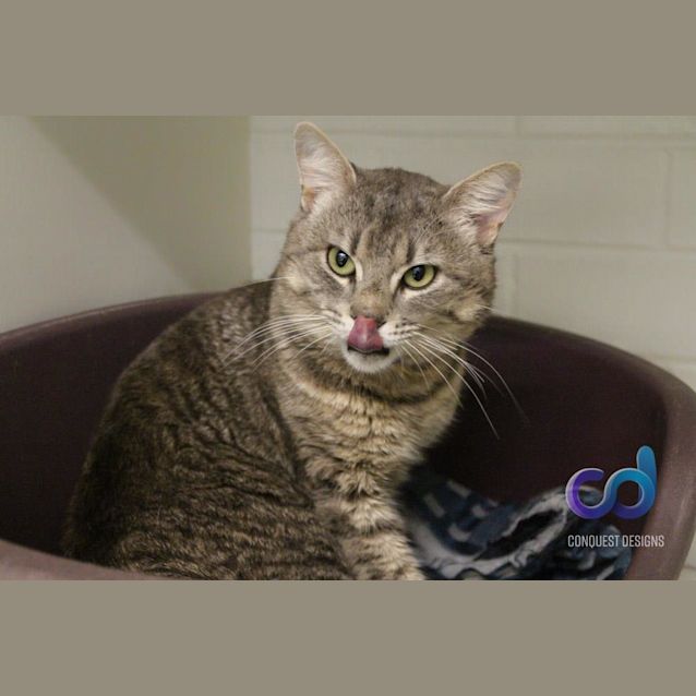 Photo of Clifford (3791)