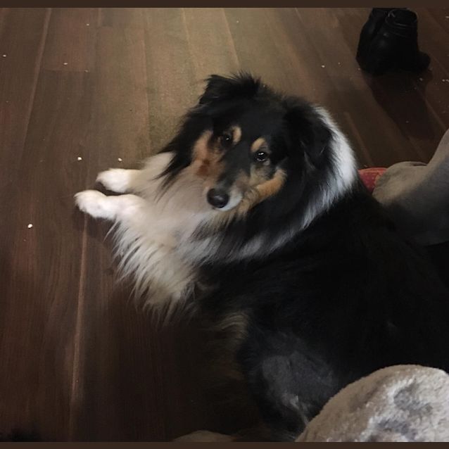 Photo of Teddy