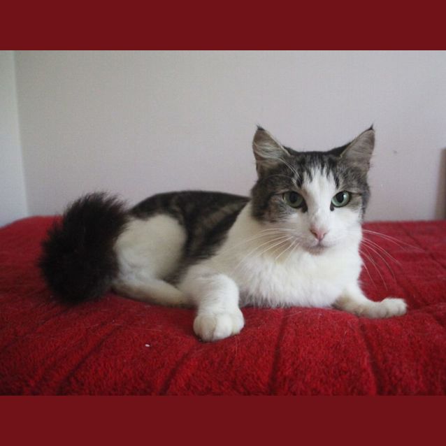Photo of Kyala