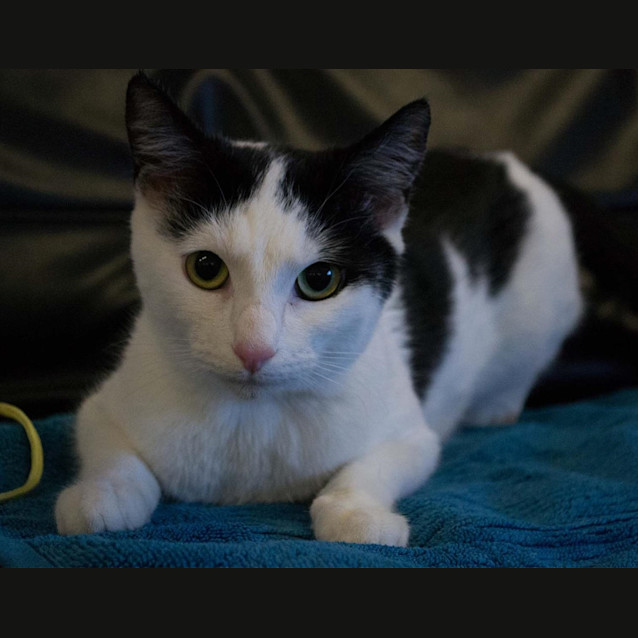 Photo of Buffy