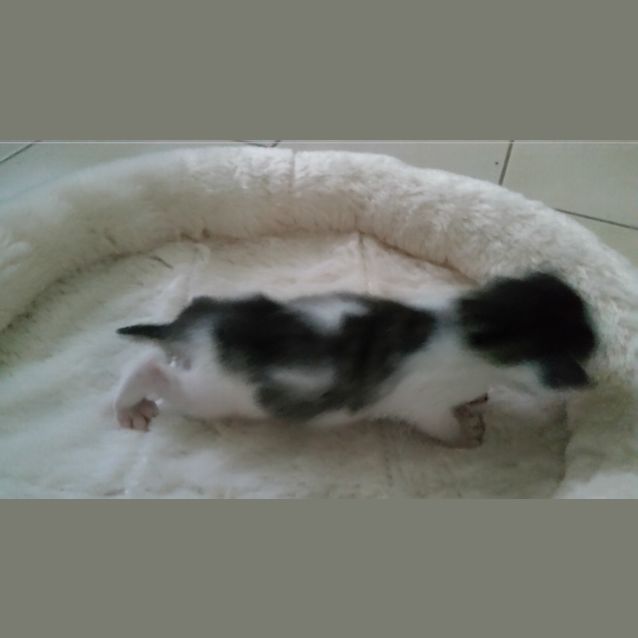 Photo of Cindy
