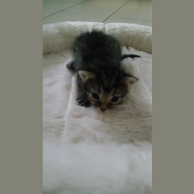 Photo of Mia