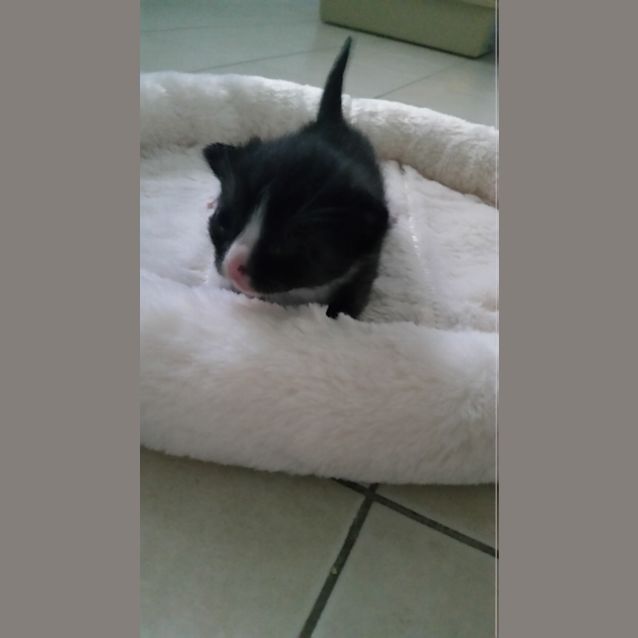 Photo of Quinn