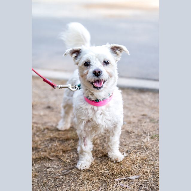 Photo of Miss Pepita