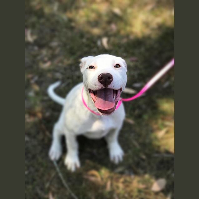 Photo of Lola 