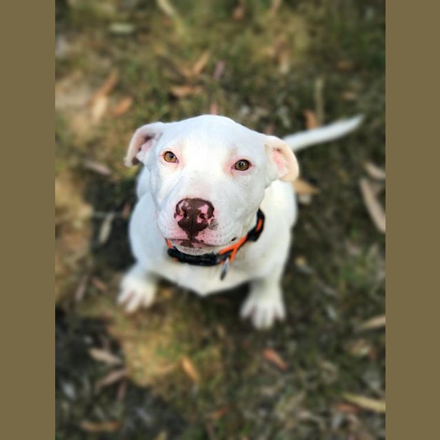 Photo of Luna 