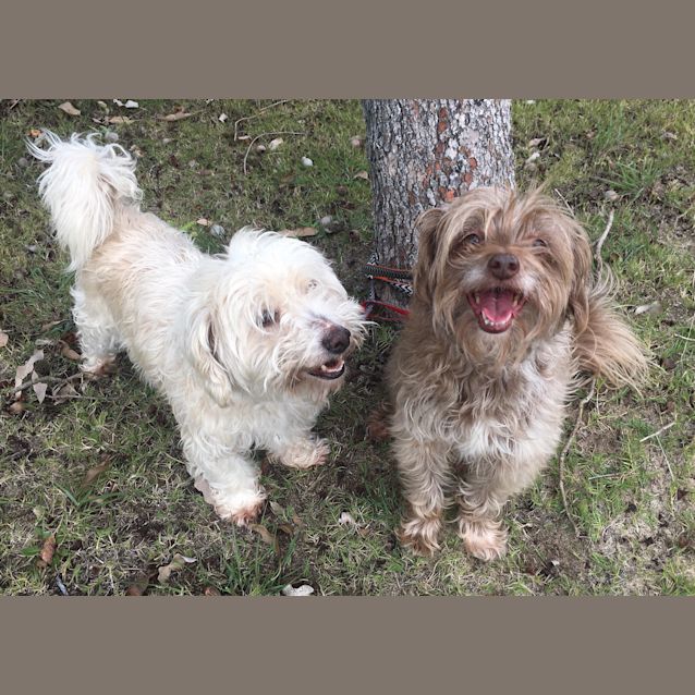 Photo of Boof & Lucy