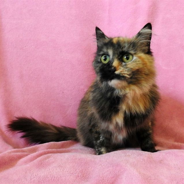Photo of Yuki