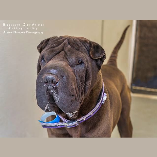 Photo of Bazza (3807)