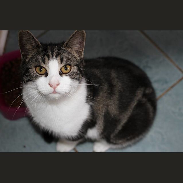 Photo of Tiny Tim