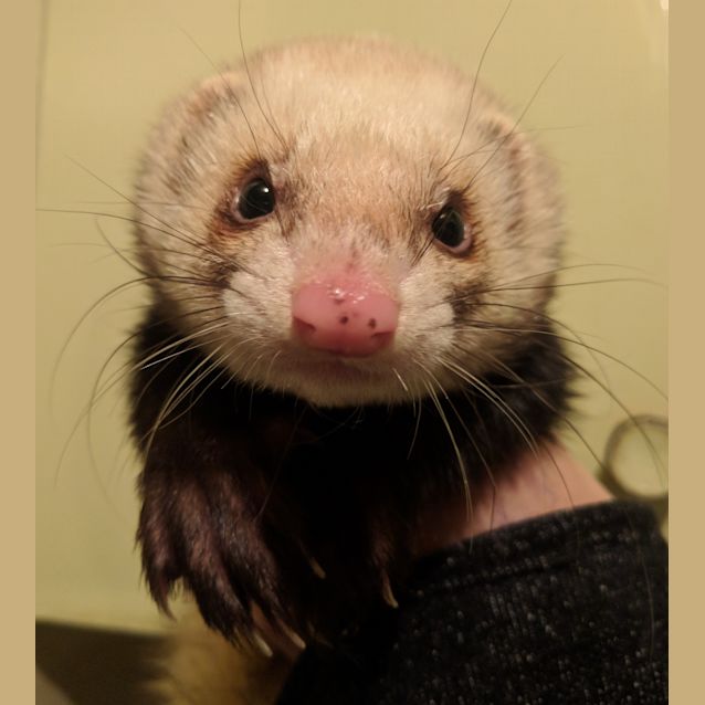 Photo of Bill