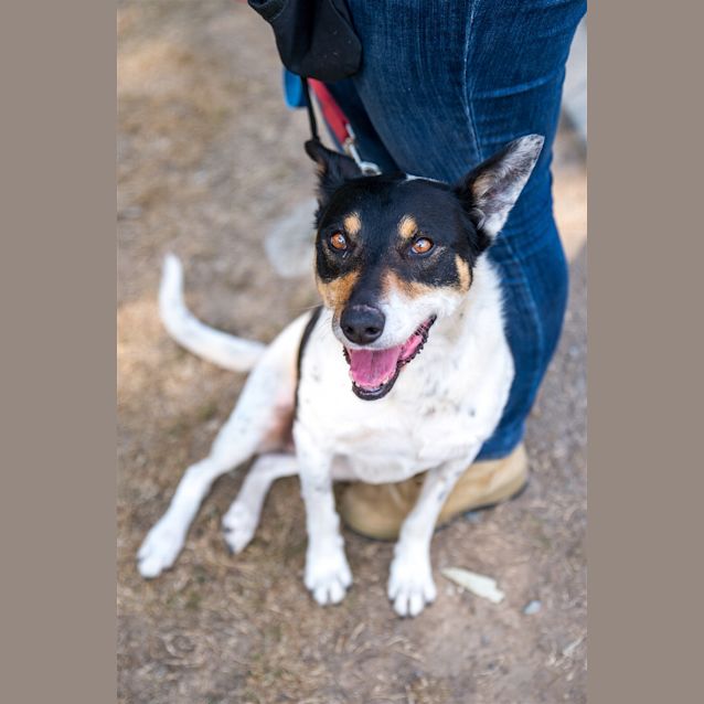 Photo of Patches
