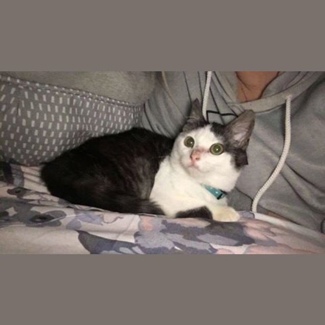 Photo of Asher