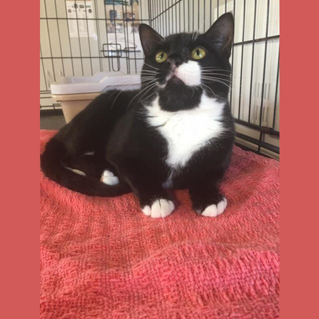 Photo of Jasper