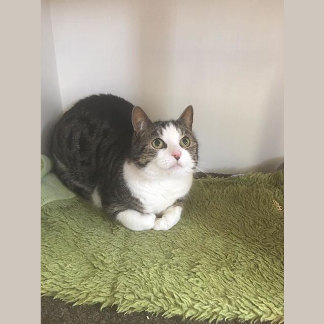 Photo of Missy