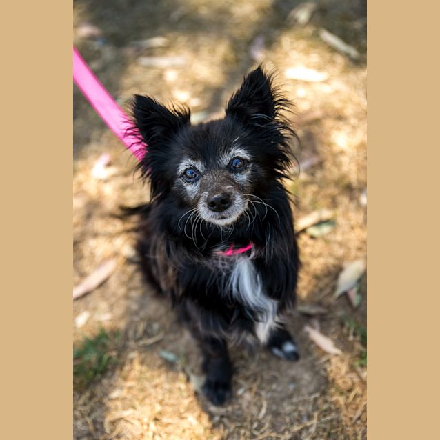 Photo of Bella