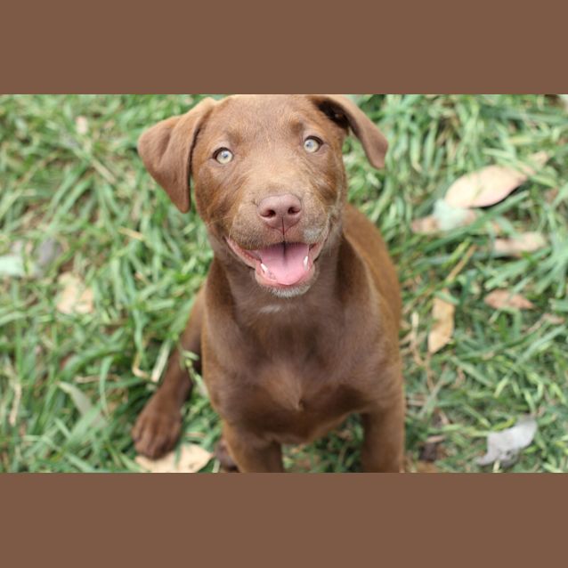 Photo of Hershey