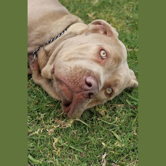 Photo of Hazel