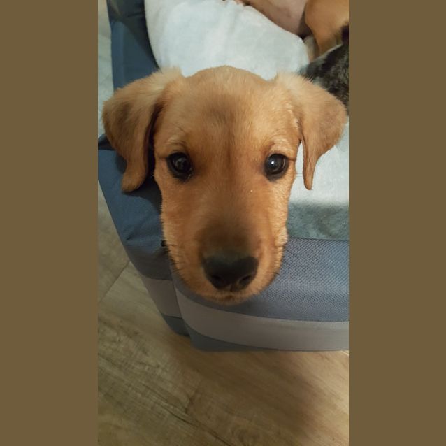 Photo of Flynn